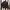 GUESS Black Cotton Stretch Biker Jacket photo 1