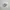 Nike Air Jordan low photo 1