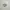 Nike Air Jordan low photo 1