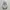 Nike Air Jordan low photo 2