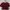 ORECCA CROP MAROON photo 2