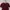 ORECCA CROP MAROON