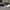 Adidas Ultraboost Clima U  photo 3