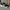 Adidas Ultraboost Clima U  photo 1