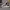Adidas Entrap Mid  photo 3