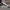 Adidas Entrap Mid  photo 1