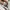 CONVERSE 70s HIGH photo 7