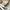 CONVERSE 70s LOW photo 7