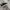 CONVERSE 70s LOW photo 4