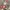 Alat pompa asi merk mutter pink hello kitty photo 2
