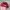 New Era 940 Christmas Floral photo 3