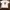 Uniqlo x Spy x Family size XL Kaos Anime Loid Forger photo 1