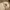 Levi’s - Levis Strauss Classic Strapback photo 2