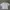 Vintage Boxy Shirt Strip photo 1