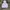 Hoodie J W O photo 1