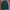 Covernat jacket serpa second brand not stussy carhartt nike photo 3