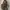 Koffi Collect Rabbit Fur Handbag photo 1