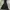 Marmot Outdoor Jacket Black (3B-02) photo 7
