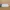 The Sak White Small purse Leather photo 4
