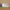 The Sak White Small purse Leather photo 1