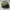 Topi Carharrt Cap Odessa Olive Washed OSFA Second Original I photo 6