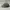 Topi Carharrt Cap Odessa Olive Washed OSFA Second Original I photo 4