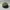 Topi Carharrt Cap Odessa Olive Washed OSFA Second Original I photo 5