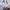 New Balance Sportswear Track jacket Pria white photo 6