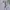 New Balance Sportswear Track jacket Pria white photo 4