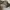 Los Angeles Project ( LAP ) Nylon Broken White photo 6