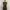 Miss Sixty Tanktop Vintage Y2K Sleeveless photo 5