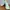NB 2002R Ganni Turtledove photo 2