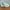 NB 2002R Ganni Turtledove photo 1