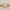 Guess GW0308L2 Women’s Gold Analog photo 2