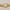 Guess GW0308L2 Women’s Gold Analog