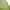 THE NORTH FACE ECO COLLECTION BIODEGRADABLE POCKET T-SHIRT | photo 4