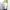 Casual Muslim Parka Pria white photo 4