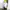 Casual Muslim Parka Pria white photo 2
