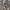 Realtree pocket  photo 3
