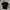 Dickies Tshirt