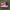 Adidas SL72 Pink photo 4