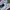 Adidas La Trainer photo 7