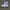 Adidas La Trainer photo 4