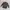 Uniqlo Flannel Stand Collar Shirt Long Sleeve Regular Fit photo 1