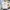 fashion/fake adidas trefoil  photo 1