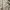Japanese brand Grunge Gorpcore Puffer jacket Pria photo 6