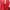 Adidas Sportswear Sneakers Pria red photo 4