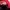 Adidas Sportswear Sneakers Pria red photo 7
