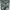 UNKNOW - Cargo Pants Army photo 6