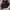 The North Face Gorpcore Track jacket Pria black photo 2